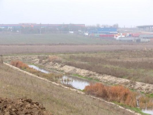 Falsul moştenitor a mii de hectare de teren în Constanţa, trimis în judecată alături de doi notari